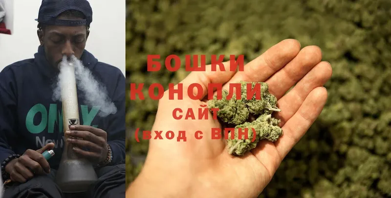 Шишки марихуана THC 21%  Вихоревка 